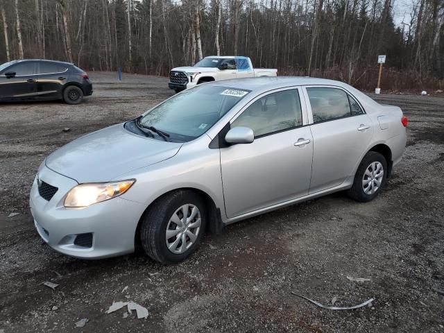 2010 Toyota Corolla Base