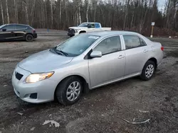 2010 Toyota Corolla Base en venta en Cookstown, ON