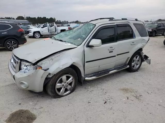 2009 Ford Escape Limited