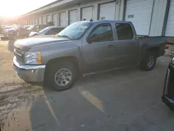 2013 Chevrolet Silverado K1500 LT en venta en Louisville, KY