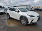 2020 Lexus NX 300 Base