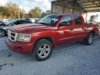 2010 Dodge Dakota SXT