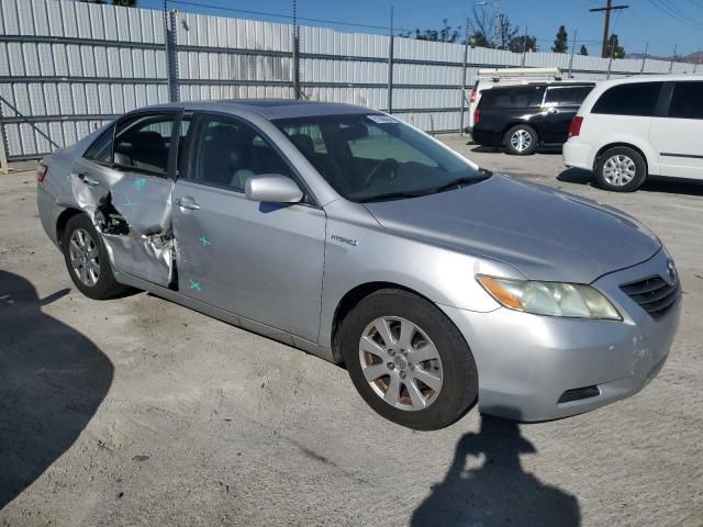 2009 Toyota Camry Hybrid