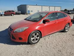 Salvage cars for sale at Haslet, TX auction: 2014 Ford Focus SE