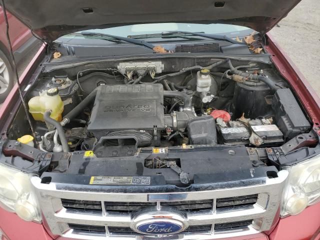 2009 Ford Escape XLT