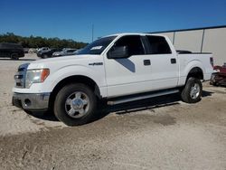 2014 Ford F150 Supercrew en venta en Apopka, FL