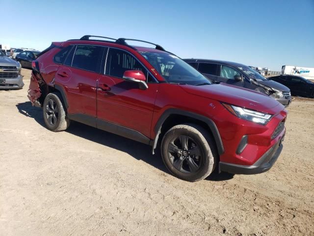 2023 Toyota Rav4 XLE