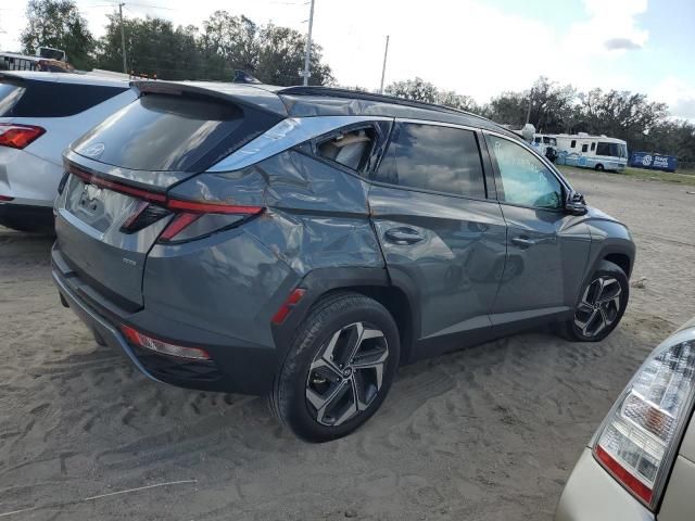 2024 Hyundai Tucson Limited