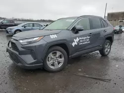 Salvage cars for sale at Fredericksburg, VA auction: 2024 Toyota Rav4 XLE