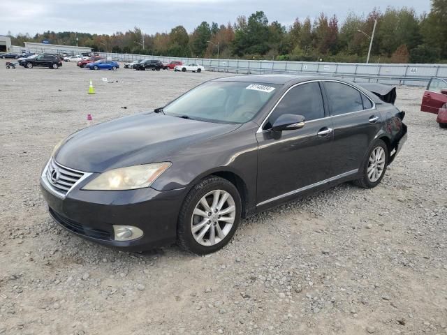 2010 Lexus ES 350