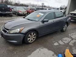 Honda salvage cars for sale: 2009 Honda Accord EXL