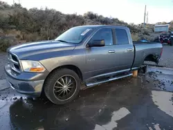 Dodge Vehiculos salvage en venta: 2009 Dodge RAM 1500