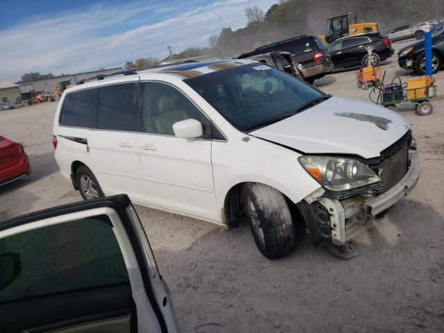 2005 Honda Odyssey EXL