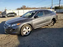 Honda Accord salvage cars for sale: 2010 Honda Accord Crosstour EXL