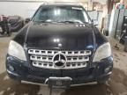 2009 Mercedes-Benz ML 350