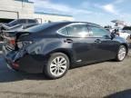 2014 Lexus ES 300H