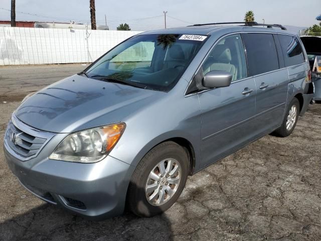 2008 Honda Odyssey EXL