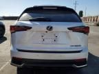 2019 Lexus NX 300H