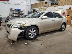 Toyota Camry Base Vehiculos salvage en venta: 2011 Toyota Camry Base