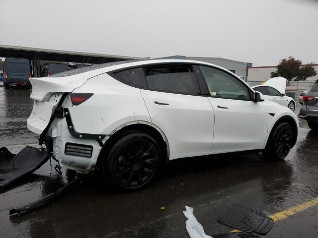 2020 Tesla Model Y