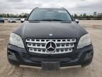 2010 Mercedes-Benz ML 350