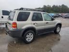 2005 Ford Escape XLT