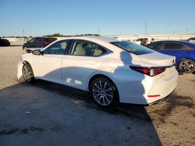 2019 Lexus ES 350