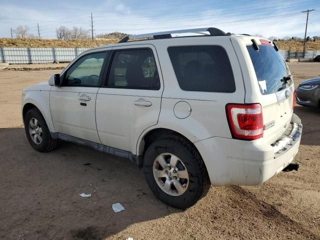 2010 Ford Escape Limited