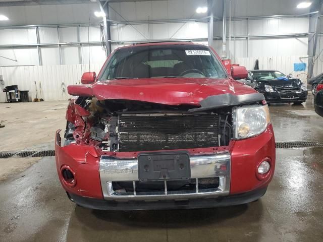 2010 Ford Escape Limited