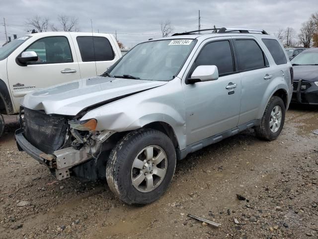 2010 Ford Escape Limited