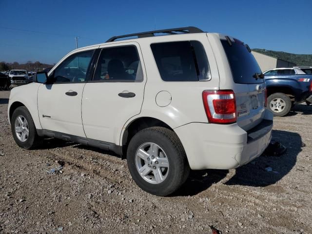 2009 Ford Escape Hybrid