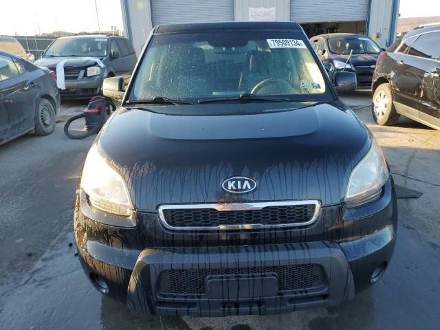 2011 KIA Soul +