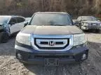 2009 Honda Pilot EXL