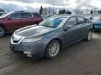 2009 Acura TL