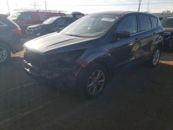 Salvage cars for sale at Elgin, IL auction: 2019 Ford Escape SE