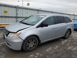 Honda salvage cars for sale: 2013 Honda Odyssey EX