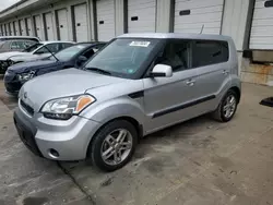 Salvage cars for sale at Louisville, KY auction: 2011 KIA Soul +