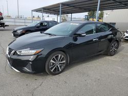 Salvage cars for sale at Sacramento, CA auction: 2023 Nissan Maxima SV