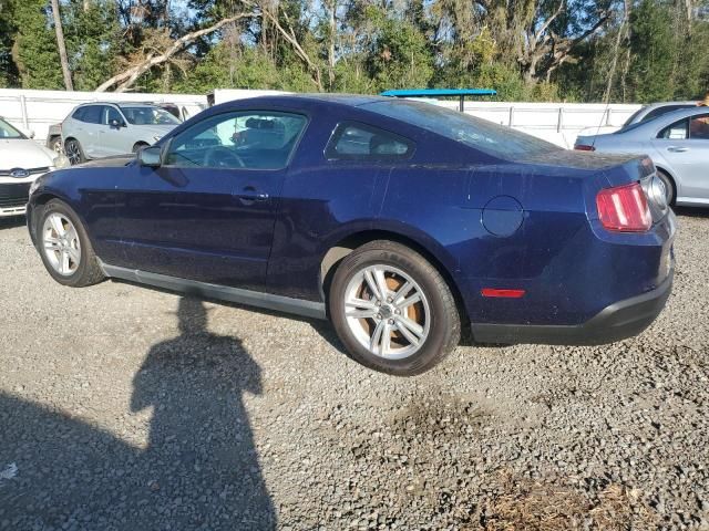 2010 Ford Mustang