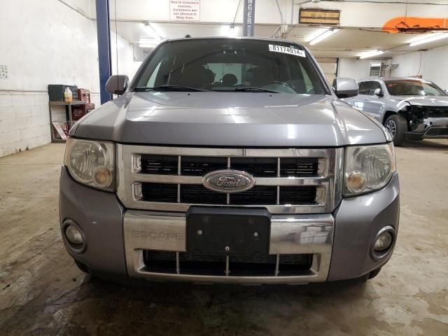 2008 Ford Escape Limited