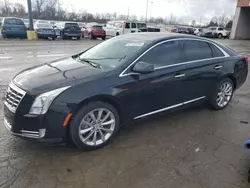 Cadillac Vehiculos salvage en venta: 2013 Cadillac XTS Premium Collection