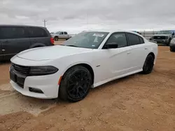 Salvage cars for sale at Andrews, TX auction: 2019 Dodge Charger R/T