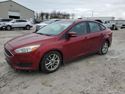 2016 Ford Focus SE en venta en Lawrenceburg, KY