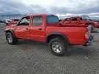 2004 Toyota Tacoma Double Cab