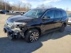 2019 Honda Pilot EXL