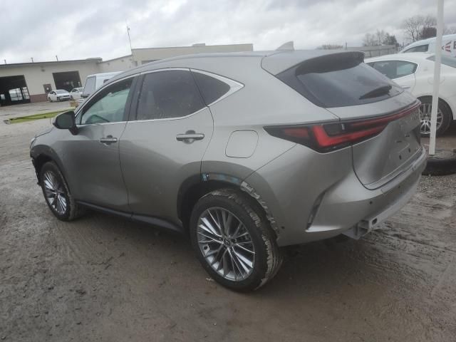 2024 Lexus NX 350H Base