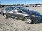 2015 Ford Fusion SE Hybrid