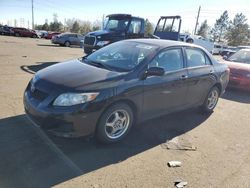 Salvage cars for sale at Denver, CO auction: 2010 Toyota Corolla Base