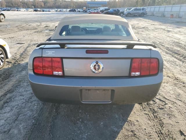 2005 Ford Mustang