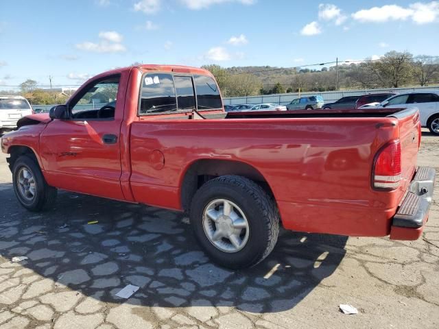 1999 Dodge Dakota